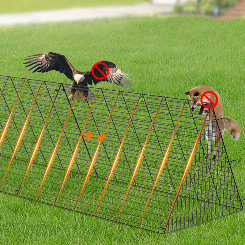Açık hava, avlu için büyük ördek tavuk kümesi kafesi Açık hava, avlu için büyük ördek tavuk kümesi kafesi