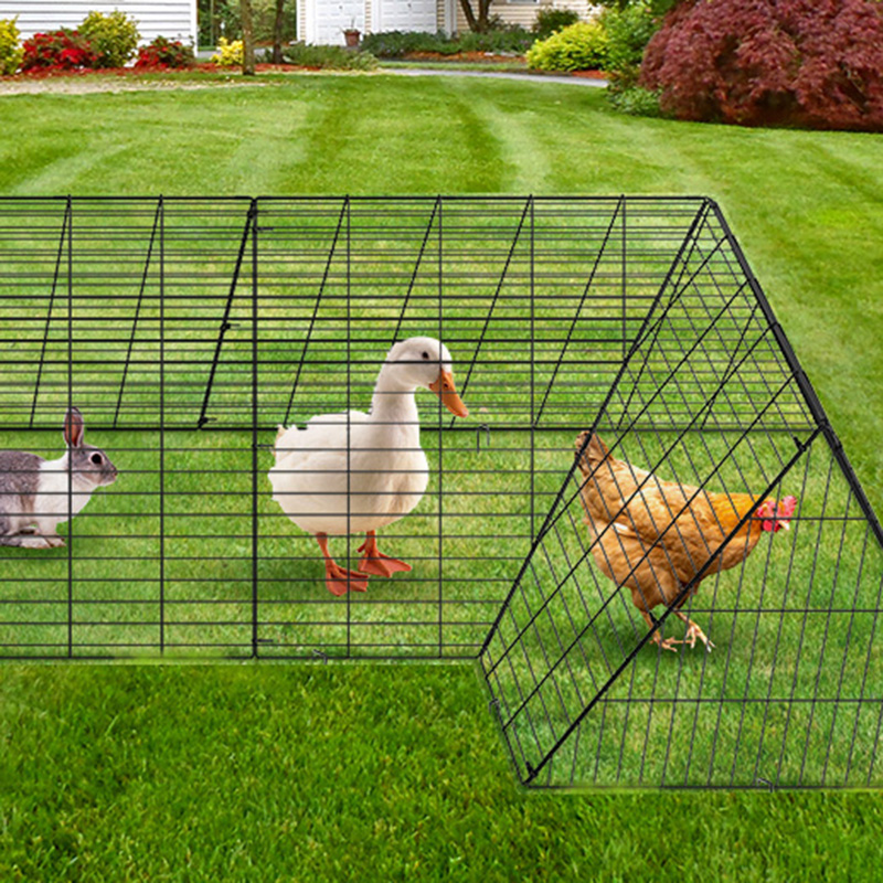 Açık hava, avlu için büyük ördek tavuk kümesi kafesi Açık hava, avlu için büyük ördek tavuk kümesi kafesi
