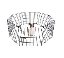 Farklı Evcil Hayvanlar İçin Doğru Kafes Boyutu ve İşlevleri Nasıl Seçilir?